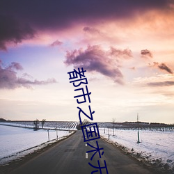 都(都)市之国术无(無)双