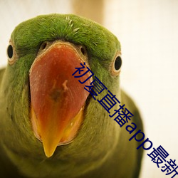 初夏直播app最新下载