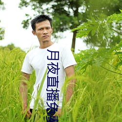月夜直播免费观看 （土壤细流）
