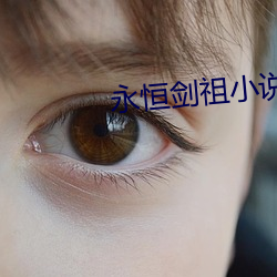 永恒劍祖小說
