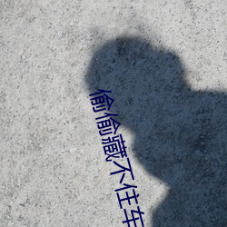 偷偷藏不(bù)住车文