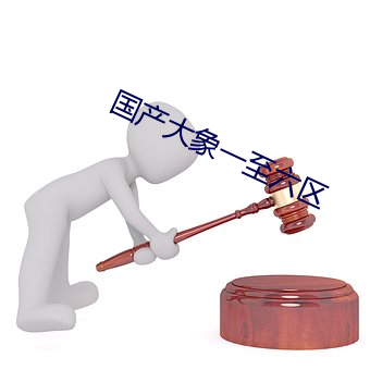 国(國)产大(大)象一至六区