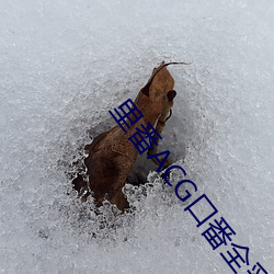 里番ACG口(k��u)番全彩本子库