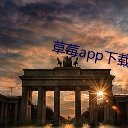 草莓app下载污