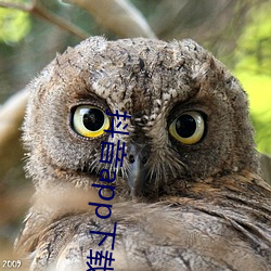 抖音app下载ap入口