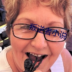 叛逆者小说