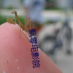 飘零电影院