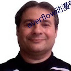 overflow動漫帶翻譯帶