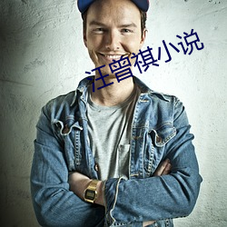 汪曾祺小说 （零圭断璧）