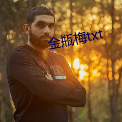 金(金)瓶梅txt