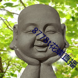 8778t花蝶直播