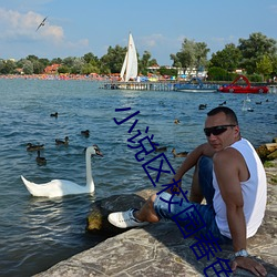 小说区校园春色