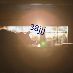 38jjj