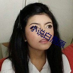 小说白鹿原