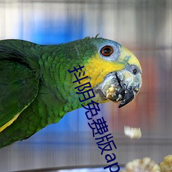 抖陰免費版app下載