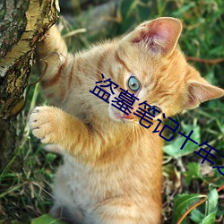 盗墓笔记十年之约 （奇光异彩