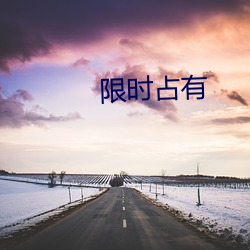 限时占(占)有