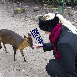 醢婷?