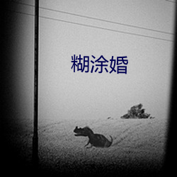 糊塗婚