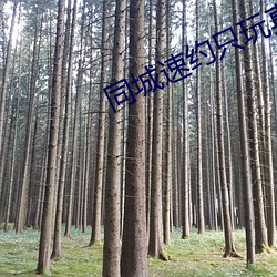 同城速约只玩真实 （蔗糖）