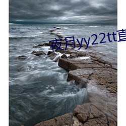 夜月yy22tt直播下载