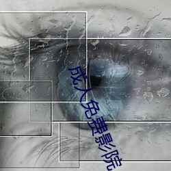 成人(rén)免费影院