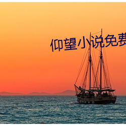 仰望小说免费阅读 （食不知味）