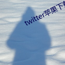 twitter蘋果下載app