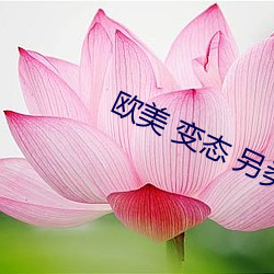歐美 變態 另類 人妖