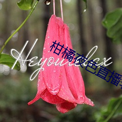 柑(gān)橘夜色(sè)直播软件