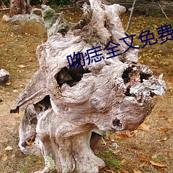 鸿运国际·(中国)会员登录入口