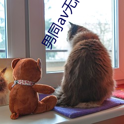 男同av无限看