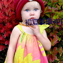 初夏直播app下载