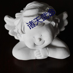 諸天武命