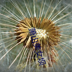 萧山美女(nǚ)坝