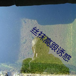 金年会(中国)官方网站