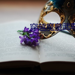 穿越魔皇武尊