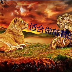 適合做前看的小說