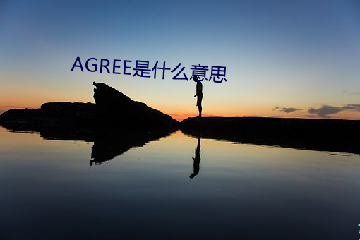 AGREE是(是)什么意思