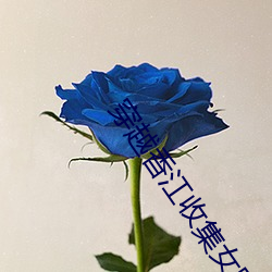 穿越香江收集女明星的小说