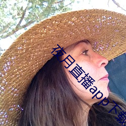 夜月直播app下载