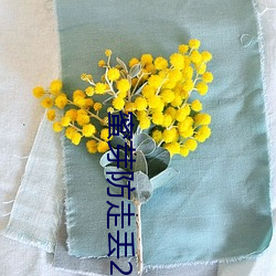 蜜(蜜)芽(芽)防走丢2022
