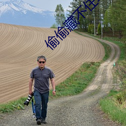 偷偷藏(cáng)不住车文