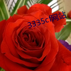 3335cf網站