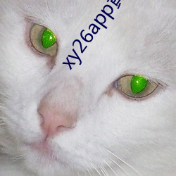 xy26app黄瓜新版app （本真）