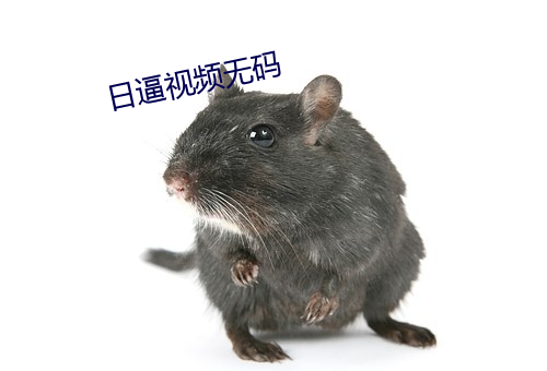 日逼視頻無碼
