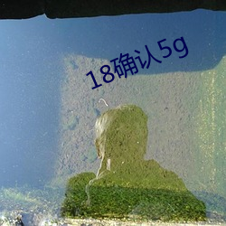 18确(確)认5g