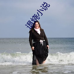 退烧小说(說)