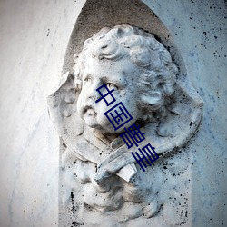 中国兽皇(皇)