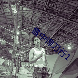 雪中悍刀行1 （遗闻轶事）